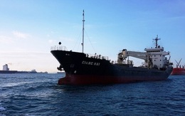 Chỉ đạo kiểm tra vụ cướp biển tấn công tàu Giang Hải