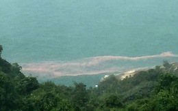 ​Xuất hiện dải nước màu đỏ tại biển Chân Mây - Lăng Cô