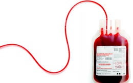 Nhiều người tham gia chương trình “Cặp đôi hiến máu”