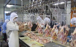 ​Giám sát an toàn thực phẩm đối với thịt gà chế biến xuất khẩu