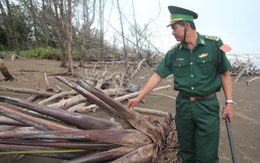 Dũng “bập dừa” khai phá cồn hoang