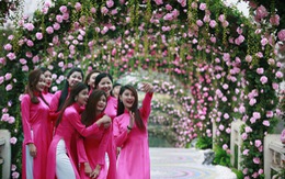 Lễ hội hoa hồng đầu tiên tại Việt Nam 
