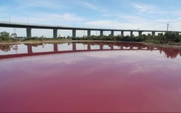 Hồ nước ở Úc chuyển màu hồng lạ mắt