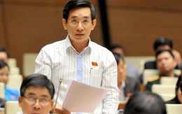 Đại biểu Quốc hội chuyên trách Nguyễn Văn Cảnh thôi nhiệm vụ