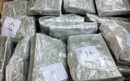 Vận chuyển thuê 100 bánh heroin với giá 200 triệu đồng