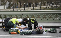 Hậu tấn công ở London: Kinh hoàng khủng bố bằng xe