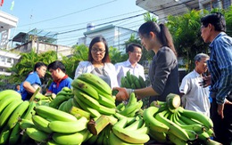 Ba tháng đầu năm phải cứu nông sản hai lần