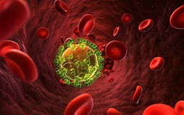 ​Phương pháp mới giúp tế bào kháng HIV