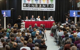 Tòa án quốc tế kết tội Monsanto hủy diệt môi trường Việt Nam