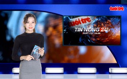 'Xẻ thịt' 1.000 ha rừng cho 20 dự án