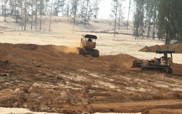 Hơn 1.500 ý kiến phản đối Phú Yên phá rừng làm dự án
