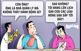 Giải cứu heo xong rồi còn bị cái gì nữa?