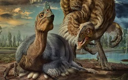 ​Phát hiện loài khủng long giống chim dài 8m, nặng 3 tấn
