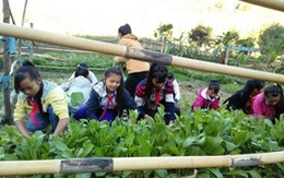Dạy học sinh Giẻ Triêng trồng rau trên biên giới Việt - Lào