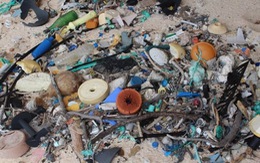 Kinh hoàng với bãi rác lớn nhất thế giới trên đảo hoang