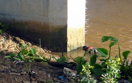 Bé trai 14 tuổi rớt sông Đồng Nai chết do say ma túy