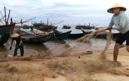 Hàng chục năm khôi phục sinh thái đáy biển sau vụ Formosa