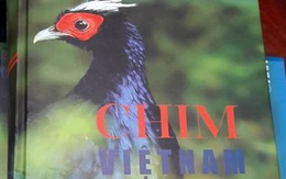 Đề xuất dừng phát hành và chỉnh sửa sách 'Chim Việt Nam'