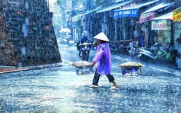 ​Mùa mưa xem ảnh Mưa đoạt giải Street Photography