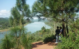 Sơn Trà, nhìn từ Vọng Cảnh