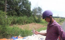 Thuê xe từ TP.HCM về Tiền Giang đổ lén 1,4 tấn da cừu khô