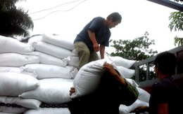 ​Hỗ trợ gạo cho 6 huyện nghèo tỉnh Hà Giang