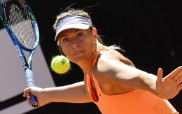 ​Điểm tin sáng 11-6: Sharapova rút khỏi Wimbledon 2017 vì chấn thương