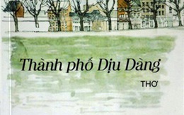 Thu hồi và hủy tập thơ 'Thành phố dịu dàng'