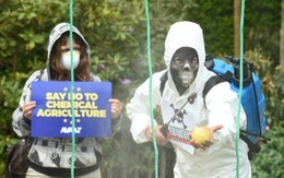 Một triệu người phản đối thuốc diệt cỏ của Monsanto 