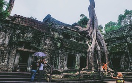 Ta Prohm - ngôi đền của những rễ cây kỳ dị 