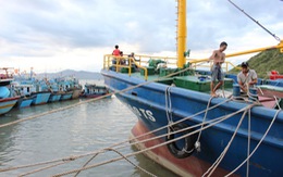 Cần thời gian xác định trách nhiệm đăng kiểm tàu cá vỏ thép