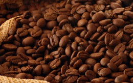 Phạt ​400 triệu, công ty cà phê xả thải vượt quy định