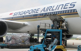 ​Vietnam Airlines nhận nhiều giải về vận chuyển hàng hóa, dịch vụ