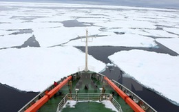 ​Cảnh báo hiện tượng tan băng đe dọa hệ sinh thái Nam Cực