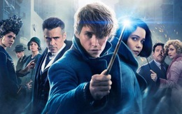Fantastic Beasts And Where To Find Them sắp có phần 2