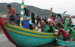 Hỗ trợ học nghề, chuyển nghề cho ngư dân 4 tỉnh miền Trung