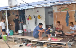 Lao động Việt ở Malaysia, Thái Lan 'lạnh lưng'