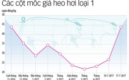 Đoán mò hoài sao được!