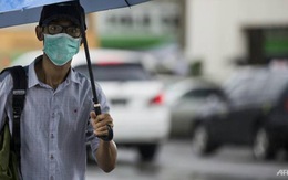 Cúm heo lan rộng, Myanmar nhờ WHO giúp đỡ