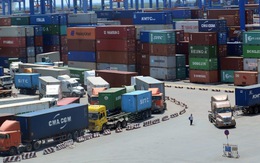 Hải quan gỡ rối, 1.000 container hàng sắp được giải phóng