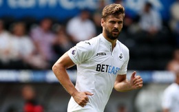 Điểm tin tối 1-8: Swansea mất Llorente ở trận mở màn mùa giải 2017-2018