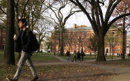 Ở Harvard giờ đây sinh viên da trắng lép vế