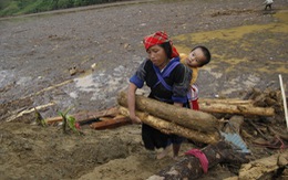 Người dân Yên Bái đổ xô mót gỗ sau lũ