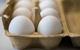 700.000 trứng nghi nhiễm thuốc trừ sâu đã vào Anh