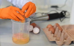 Fipronil ở trứng gà bị nhiễm gây độc ra sao?