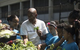 Người gieo hạt giống hi vọng cho trẻ Harlem