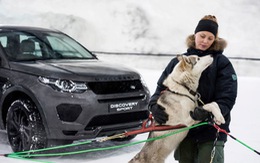 Discovery Sport 2018 đua tốc độ với chó husky trên đường tuyết