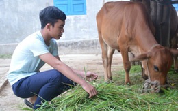 'Ba mẹ bỏ đi rồi đừng bắt em bỏ học'