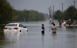 Houston tê liệt với cơn bão mạnh nhất trong nửa thế kỷ