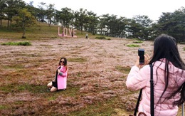Du khách đổ xô chụp ảnh ở đồi cỏ hồng cách Đà lạt 15km